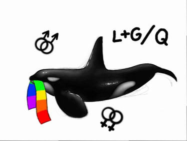 Homo whale