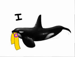 Intersex whale