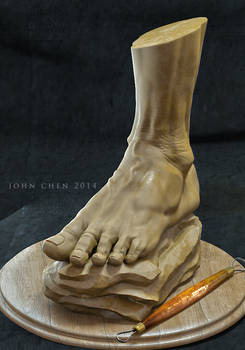 Foot anatomy study sculpt