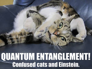 Quantum Entanglement