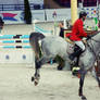 horse Jumping 3