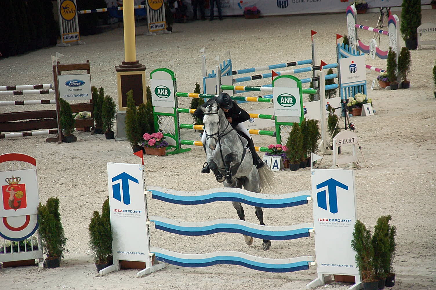 horse Jumping 26