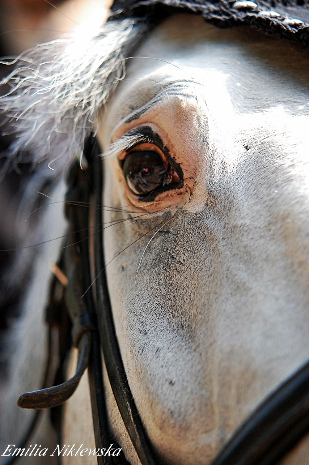 beautiful eye