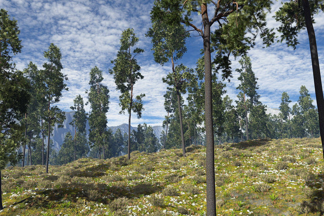 Pinegrass Ridge Pine Ridge by devmoh on DeviantArt