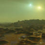 Life under two suns