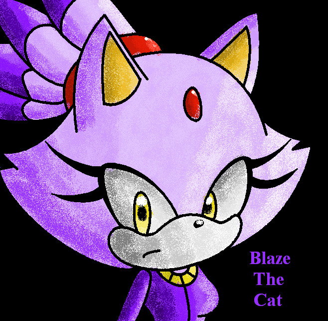 .:Blaze The Cat:.