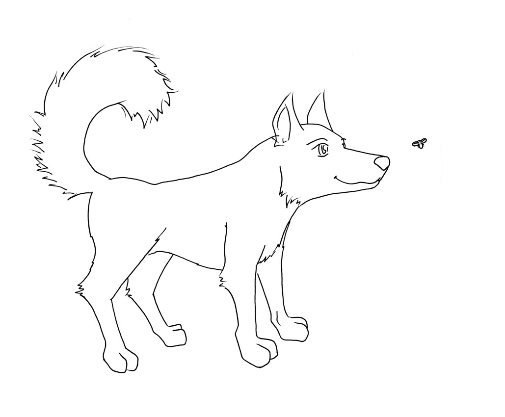 Husky with Firefly_lineart