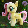 Fluttershy