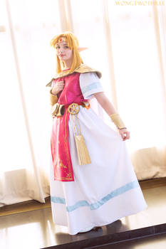 Princess Zelda Cosplay Link Between Worlds