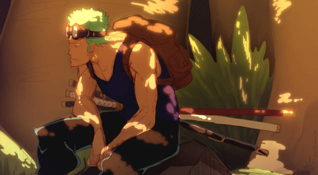 Ani and Zoro by AnimePhan96 on DeviantArt