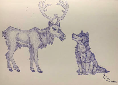 Request: Togo and Reindeer