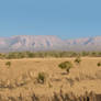 Study 01 African Landscape