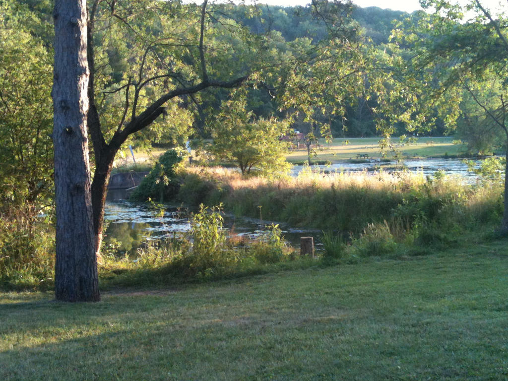 Trees + lake stock 3