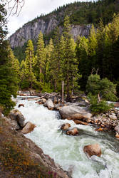 Yosemite National Park.