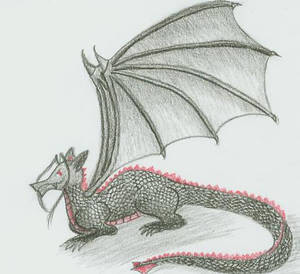 Dragon Sketch