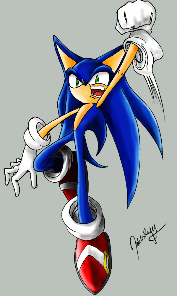 Sonic : Shryuken