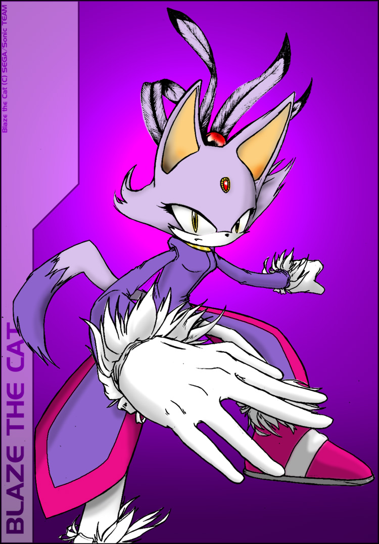 For sash0: Blaze the Cat