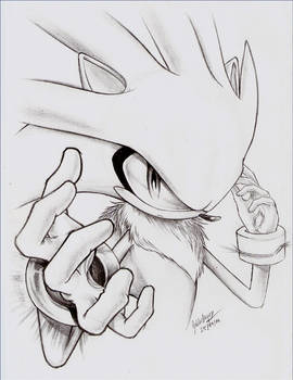 - Silver the Hedgehog -