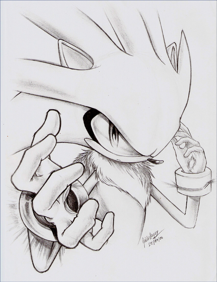 - Silver the Hedgehog -