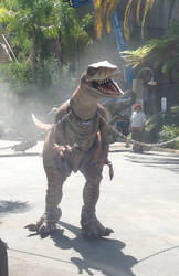 .:. I Cant Belive It, I Meeted A Velociraptor .:.