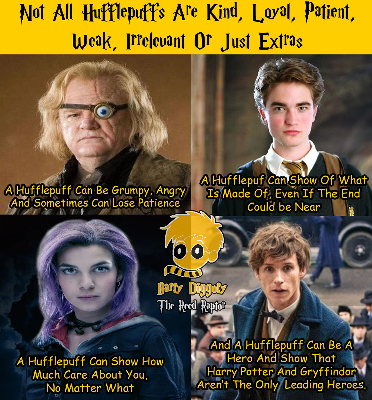 Harry Potter Shipping Meme by disneyfan108 on DeviantArt