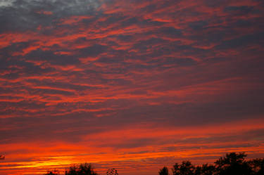 Orange ripples