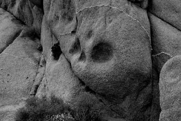 Skull in Rock