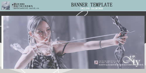 banner template #001 . by blue bird