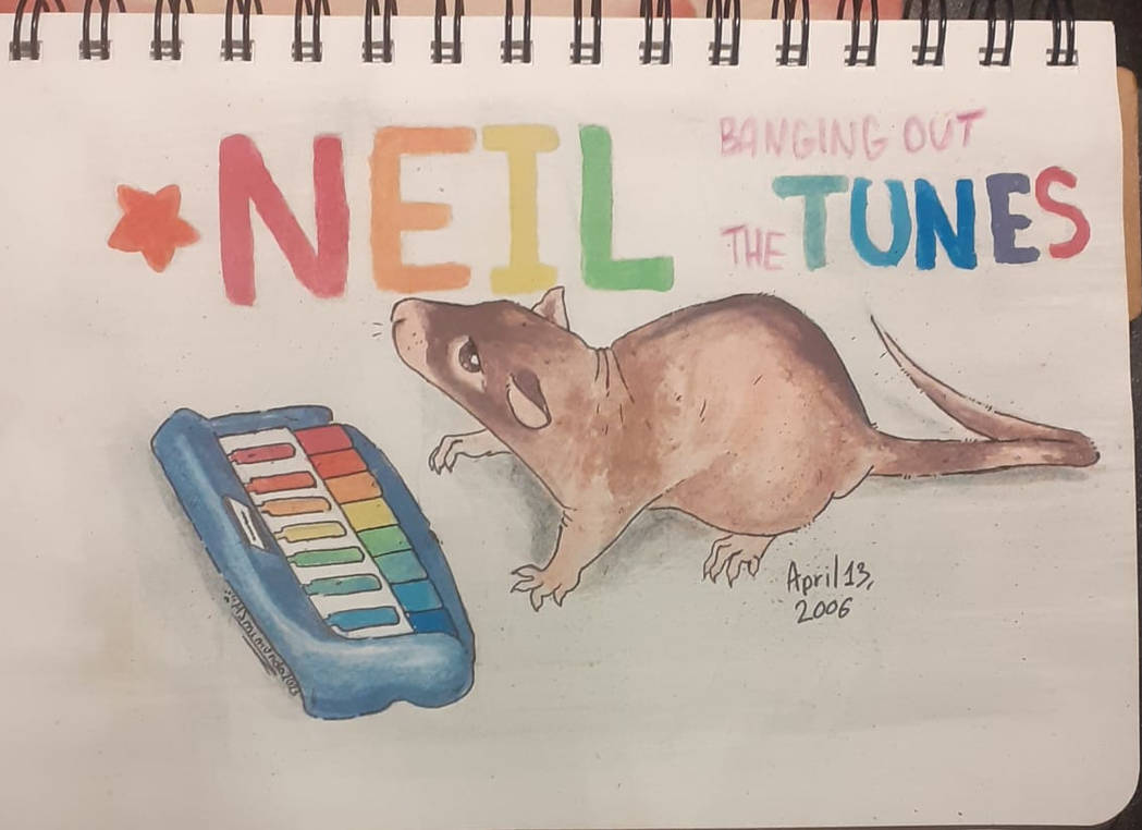 Neil banging out the tunes by Msmimundo on DeviantArt