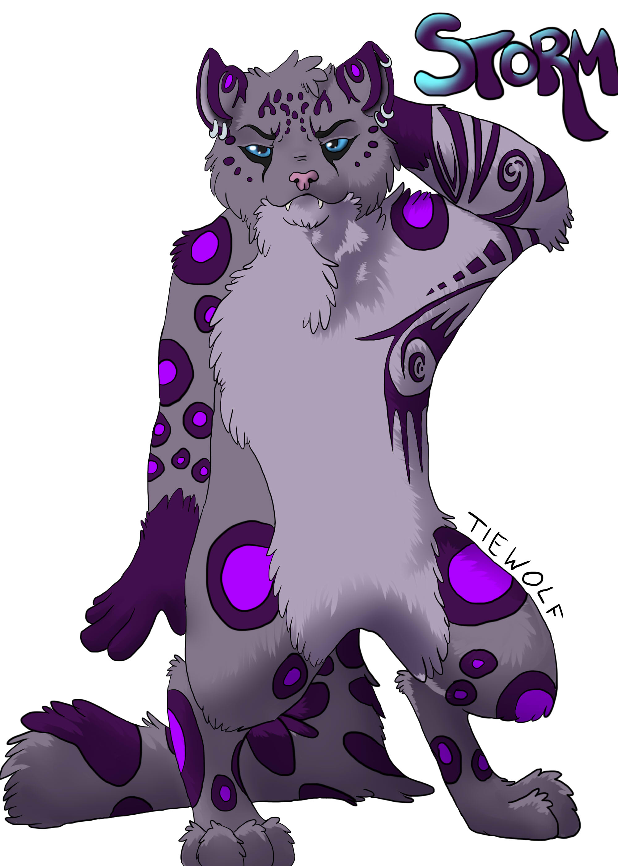 Storm - The Snow Leopard