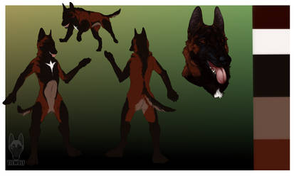 Belgian Malinois Ref Sheet