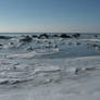 Frozen sea