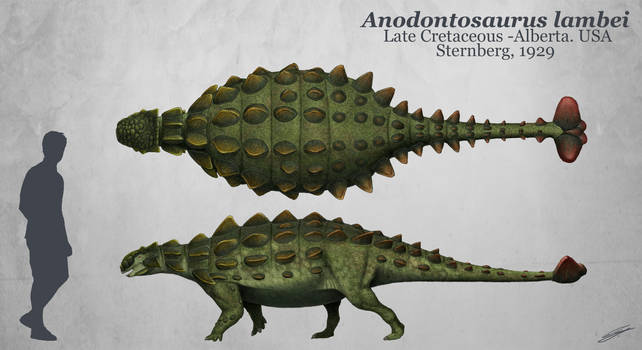 Anodontosaurus lambei profile