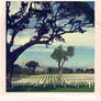 polaroided - war memorial 1