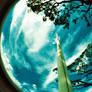 fisheye - the flag will rise