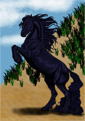 Friesian