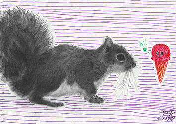 Squirrel Postcard