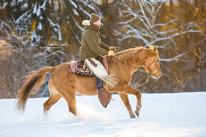 Paul and his old mare