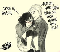 Tumblr request by anon (femharry and draco)