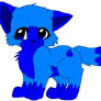 water clan kitten