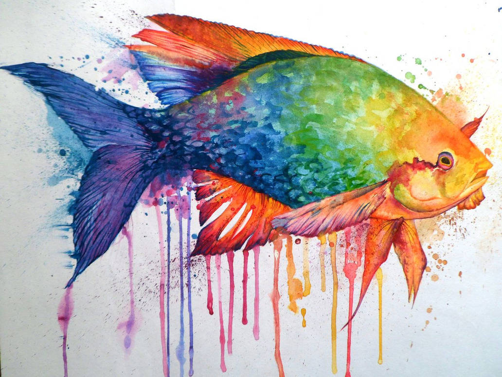 Color art drawing. Рисунки акварелью. Рисунки акварельными карандашами. Рыба рисунок. Рыбы акварелью.
