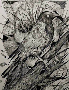 crow drawing 