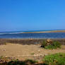 River and Beach