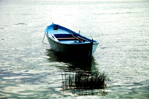 Boat on the River