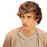 Liam Payne - One Direction