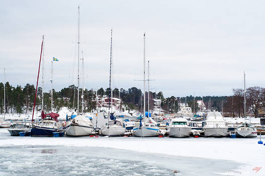 Winter harbor