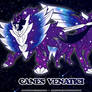 Canes Venatici Constellation - Zamazenta 'n Zacian