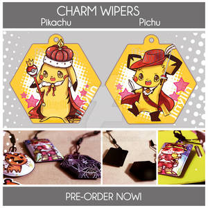 Charm Wipers: Pikachu and Pichu