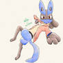 Lucario perspective