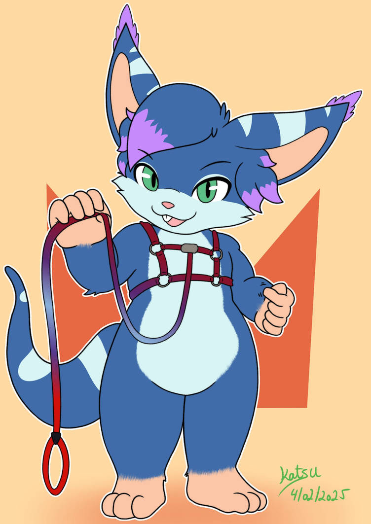 Captain harness